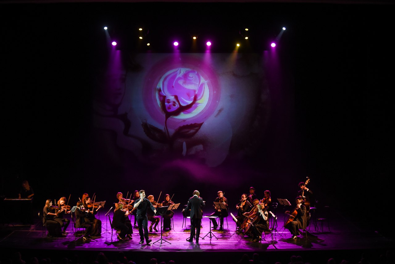 Фотоотчет с концерта "Маленький принц" в рамках семейного абонемента "Музыка и сказка"